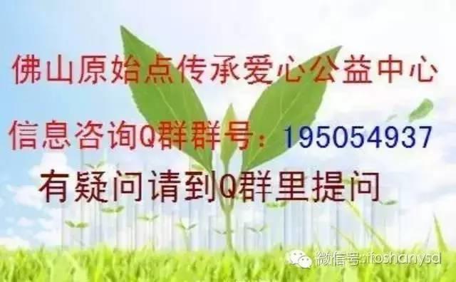 佛山原始点传承爱心公益中心第三期原始点理疗康复案例分享会圆满举办-七不姜 生姜养生网-明德CSA生态姜园&明安农业