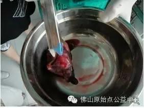 原始点使肺癌晚期康复到九成! 原始点使肺癌晚期康复到九成!