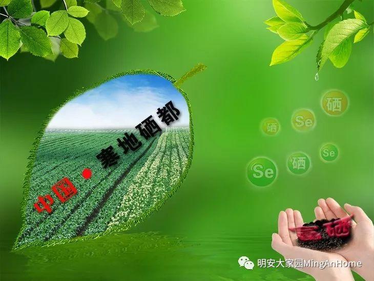 CSA委托七不种植 黑龙江硒都海伦 水稻土地配送份额1分-1亩 寒地世界顶级品种苗稻2号 2019年CSA土地份额认购 CSA委托七不种植 黑龙江硒都海伦 水稻土地配送份额1分-1亩 寒地世界顶级品种苗稻2号 2019年CSA土地份额认购