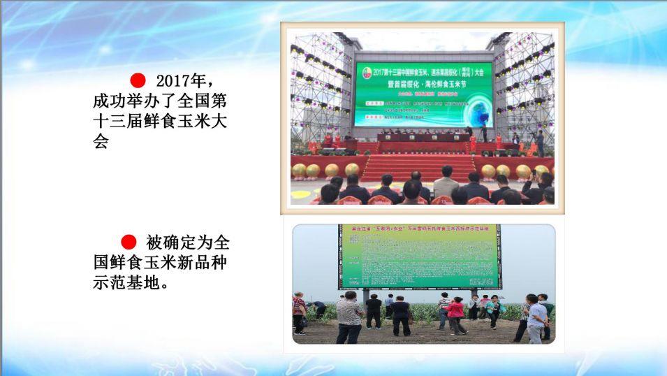 明安心法农业 七不香稻种植地黑土硒都 魅力海伦介绍