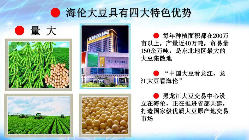 明安心法农业 七不香稻种植地黑土硒都 魅力海伦介绍