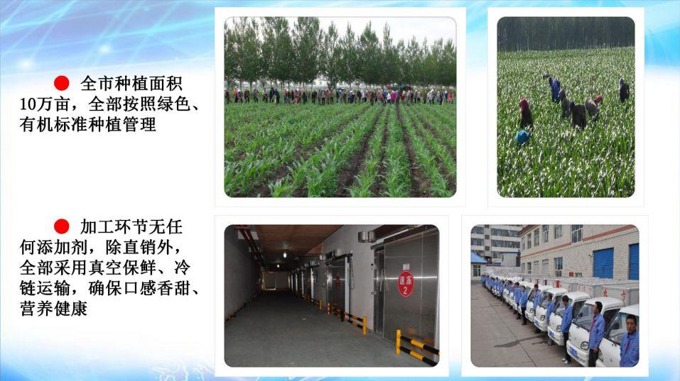 明安心法农业 七不香稻种植地黑土硒都 魅力海伦介绍