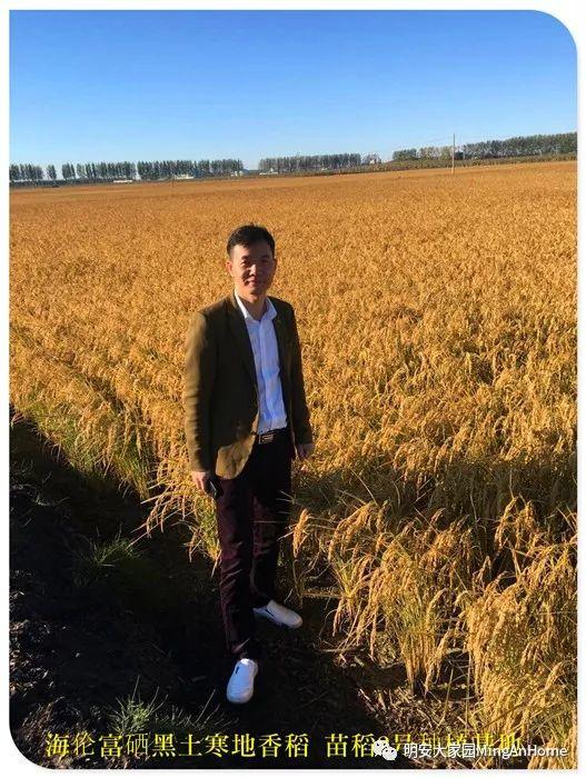 心法农业硒都海伦黑土寒地香稻七不水稻大米开售了! 寒地世界顶级品种 首创 心法农业 福田心耕恭献 心法农业硒都海伦黑土寒地香稻七不水稻大米开售了! 寒地世界顶级品种 首创 心法农业 福田心耕恭献