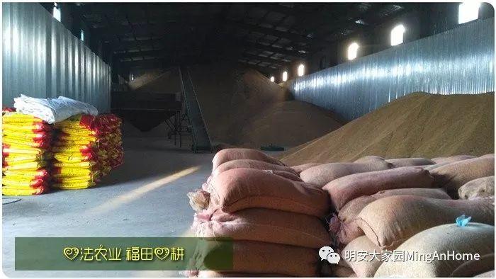 CSA委托七不种植 黑龙江硒都海伦 水稻土地配送份额1分-1亩 寒地世界顶级品种苗稻2号 2019年CSA土地份额认购 CSA委托七不种植 黑龙江硒都海伦 水稻土地配送份额1分-1亩 寒地世界顶级品种苗稻2号 2019年CSA土地份额认购