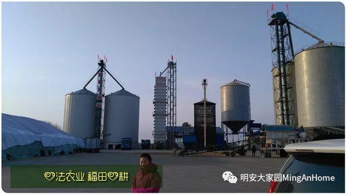 CSA委托七不种植 黑龙江硒都海伦 水稻土地配送份额1分-1亩 寒地世界顶级品种苗稻2号 2019年CSA土地份额认购 CSA委托七不种植 黑龙江硒都海伦 水稻土地配送份额1分-1亩 寒地世界顶级品种苗稻2号 2019年CSA土地份额认购