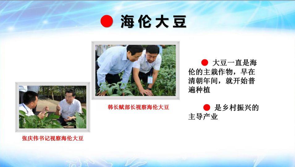 明安心法农业 七不香稻种植地黑土硒都 魅力海伦介绍