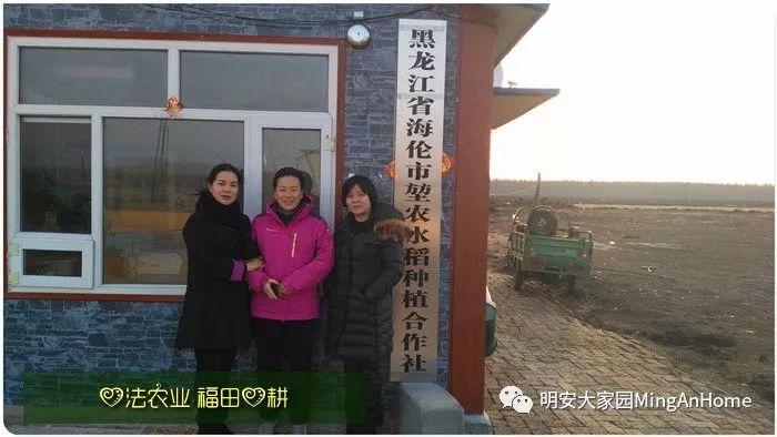 心法农业硒都海伦黑土寒地香稻七不水稻大米开售了! 寒地世界顶级品种 首创 心法农业 福田心耕恭献 心法农业硒都海伦黑土寒地香稻七不水稻大米开售了! 寒地世界顶级品种 首创 心法农业 福田心耕恭献