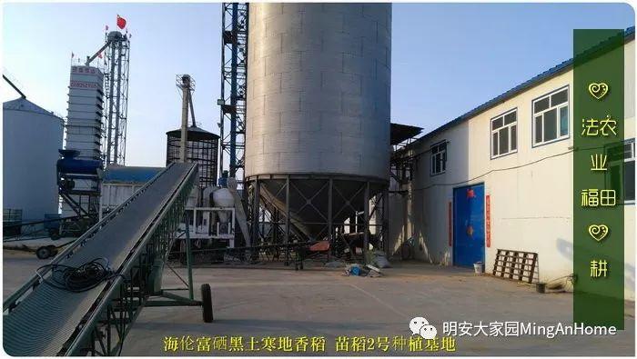 心法农业硒都海伦黑土寒地香稻七不水稻大米开售了! 寒地世界顶级品种 首创 心法农业 福田心耕恭献 心法农业硒都海伦黑土寒地香稻七不水稻大米开售了! 寒地世界顶级品种 首创 心法农业 福田心耕恭献