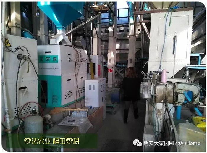 CSA委托七不种植 黑龙江硒都海伦 水稻土地配送份额1分-1亩 寒地世界顶级品种苗稻2号 2019年CSA土地份额认购 CSA委托七不种植 黑龙江硒都海伦 水稻土地配送份额1分-1亩 寒地世界顶级品种苗稻2号 2019年CSA土地份额认购