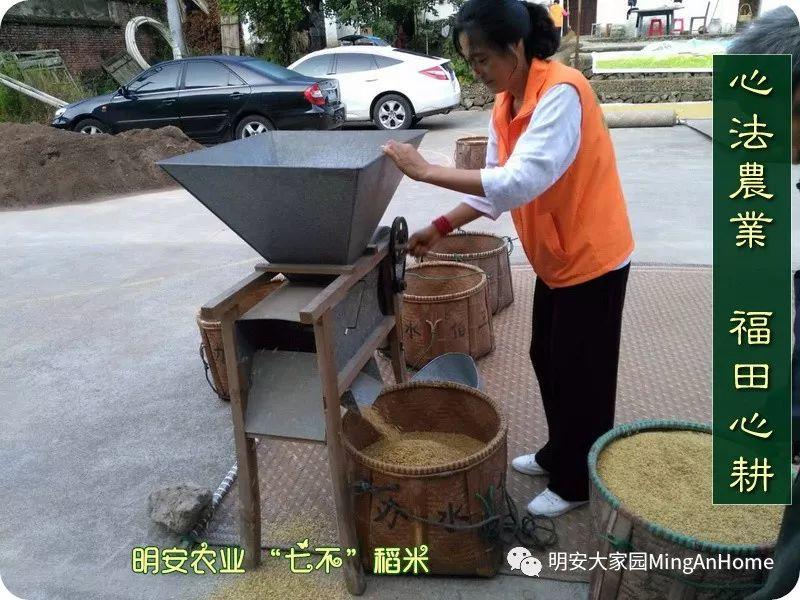 听佛号七不富硒香稻米 心法农业硒都海伦黑土寒地香稻七不水稻大米开售了！ 寒地世界顶级品种 首创 心法农业 福田心耕恭献茁壮成长