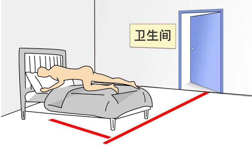 2019小黄姜的应用 第15版  2019.5（首发）