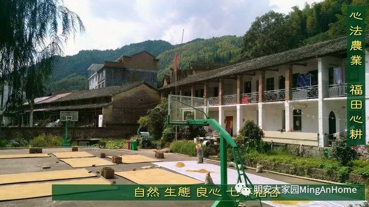 听佛号七不富硒香稻米 心法农业硒都海伦黑土寒地香稻七不水稻大米开售了！ 寒地世界顶级品种 首创 心法农业 福田心耕恭献茁壮成长