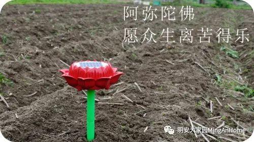 听佛号七不富硒香稻米 心法农业硒都海伦黑土寒地香稻七不水稻大米开售了！ 寒地世界顶级品种 首创 心法农业 福田心耕恭献茁壮成长