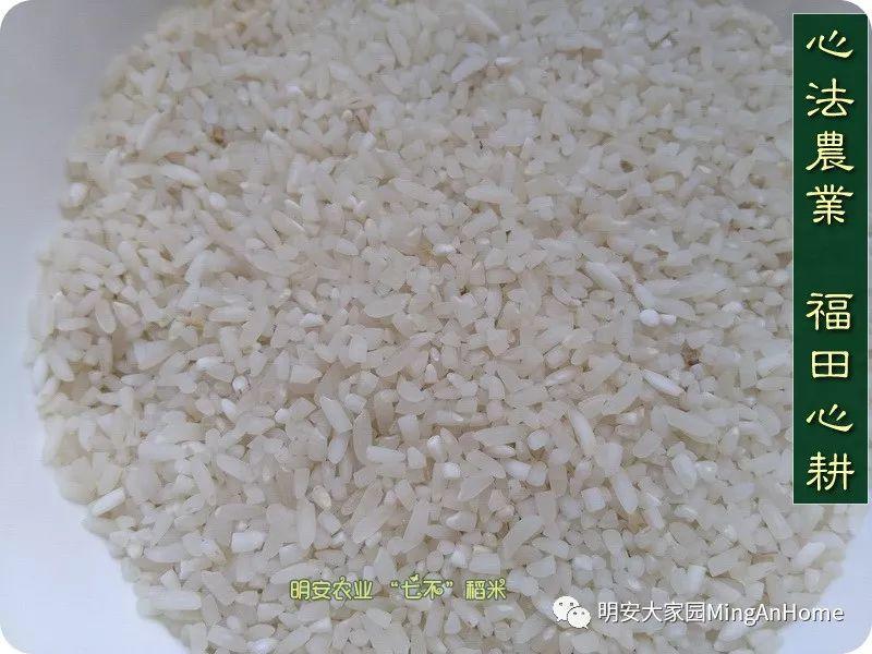 听佛号七不富硒香稻米 心法农业硒都海伦黑土寒地香稻七不水稻大米开售了！ 寒地世界顶级品种 首创 心法农业 福田心耕恭献茁壮成长
