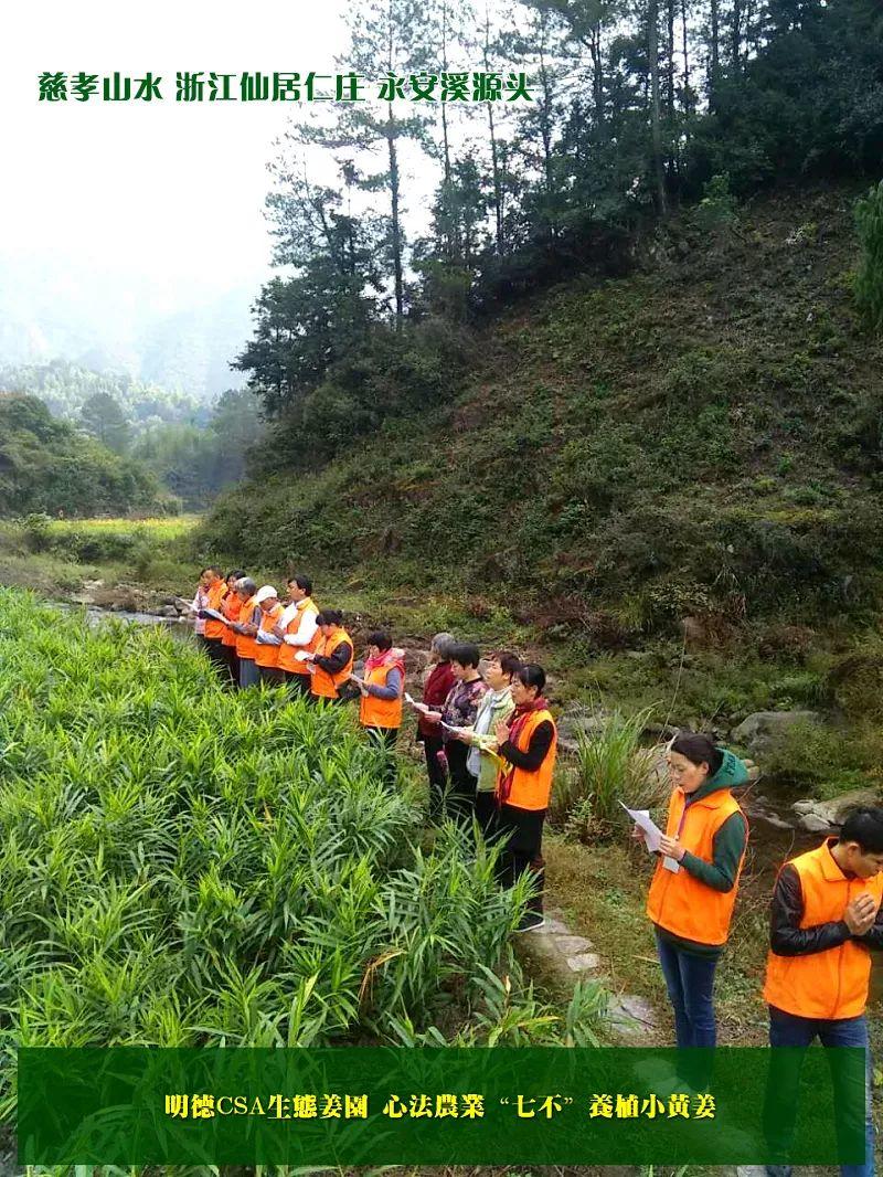 家庭特惠周期购 每月5斤 ‘七不’小黄姜生姜鲜姜原始点特供包邮 明德生态姜园心法农业恭献 家庭特惠周期购 每月5斤 ‘七不’小黄姜生姜鲜姜原始点特供包邮 明德生态姜园心法农业恭献