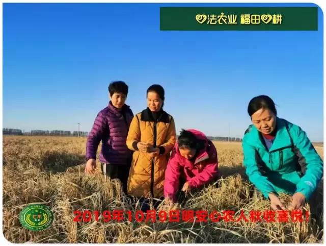 听佛号的东北富硒大米 上市了!2019七不海伦富硒大米 东北大米 硒都海伦黑土寒地香稻 七不水稻大米 心法农业 福田心耕恭献 听佛号的东北富硒大米 上市了!2019七不海伦富硒大米 东北大米 硒都海伦黑土寒地香稻 七不水稻大米 心法农业 福田心耕恭献