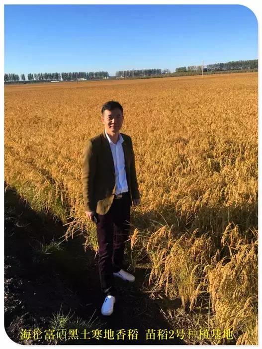 听佛号的东北富硒大米 上市了!2019七不海伦富硒大米 东北大米 硒都海伦黑土寒地香稻 七不水稻大米 心法农业 福田心耕恭献 听佛号的东北富硒大米 上市了!2019七不海伦富硒大米 东北大米 硒都海伦黑土寒地香稻 七不水稻大米 心法农业 福田心耕恭献