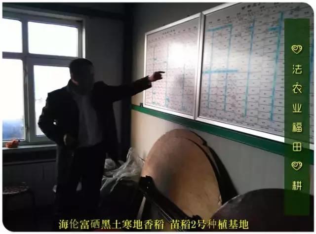 听佛号的东北富硒大米 上市了!2019七不海伦富硒大米 东北大米 硒都海伦黑土寒地香稻 七不水稻大米 心法农业 福田心耕恭献 听佛号的东北富硒大米 上市了!2019七不海伦富硒大米 东北大米 硒都海伦黑土寒地香稻 七不水稻大米 心法农业 福田心耕恭献