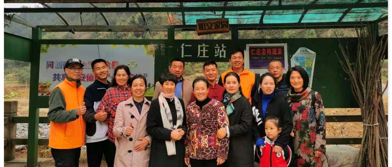 七不小黄姜秋收2019年11月18-24日 心法农业 福田心耕 原始点家人志愿者秋收感恩节-七不姜 生姜养生网-明德CSA生态姜园&明安农业