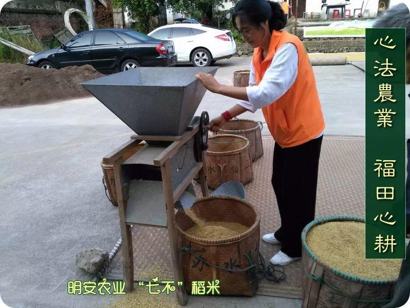 听佛号的东北富硒大米 上市了!2019七不海伦富硒大米 东北大米 硒都海伦黑土寒地香稻 七不水稻大米 心法农业 福田心耕恭献 听佛号的东北富硒大米 上市了!2019七不海伦富硒大米 东北大米 硒都海伦黑土寒地香稻 七不水稻大米 心法农业 福田心耕恭献