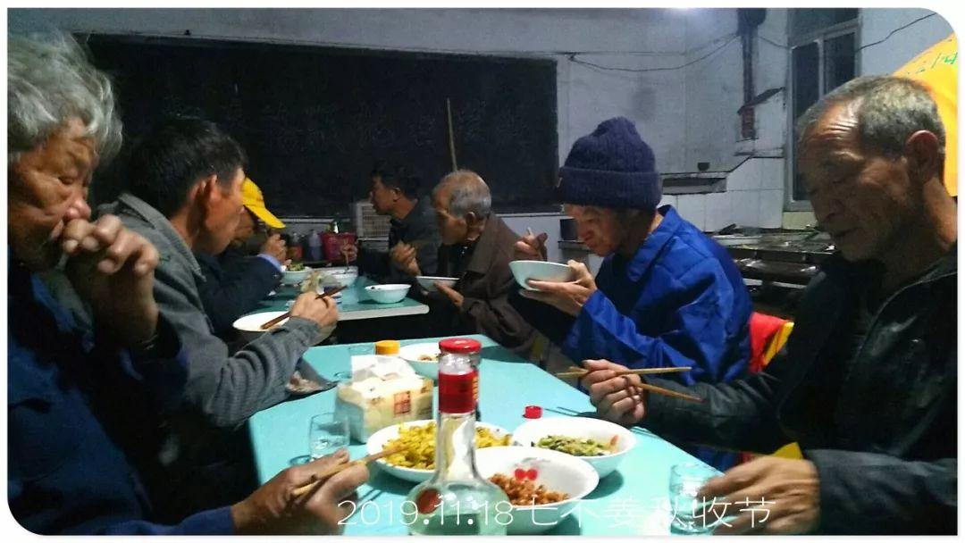 七不小黄姜秋收2019年11月18-24日 心法农业 福田心耕 原始点家人志愿者秋收感恩节