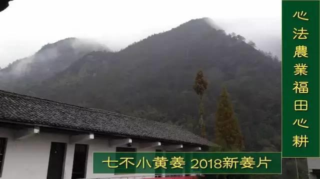 秋收庆祝!团购特惠半斤干姜片 2019秋收新烘烤制 至 2019-12-14 11:03:20 秋收庆祝!团购特惠半斤干姜片 2019秋收新烘烤制 至 2019-12-14 11:03:20