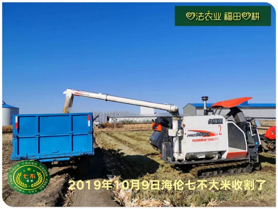 七不小黄姜 秋收感恩节2019年11月18日-24日 心法农业 福田心耕 秋收感恩节邀请函(浙江仙居 11.18-11.24) 七不小黄姜 秋收感恩节2019年11月18日-24日 心法农业 福田心耕 秋收感恩节邀请函(浙江仙居 11.18-11.24)