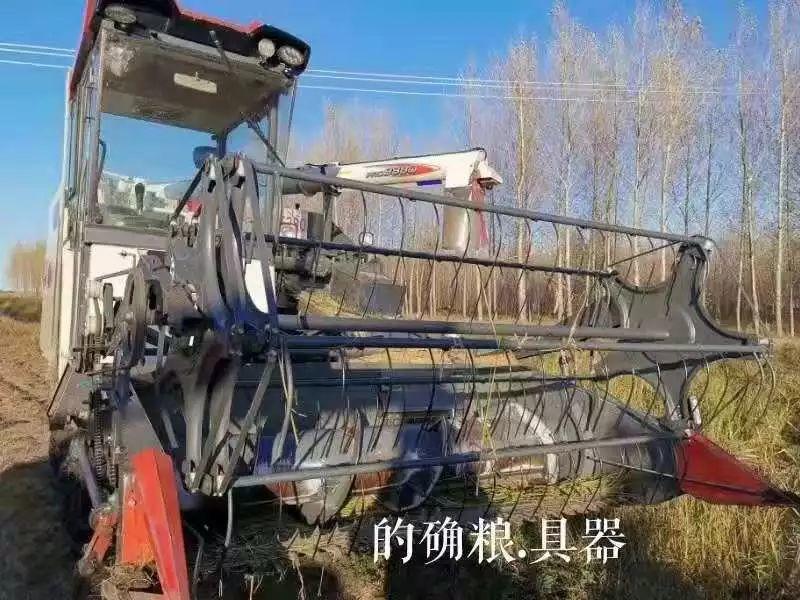 的确粮招募健康事业合伙人,无需投资 的确粮招募健康事业合伙人,无需投资