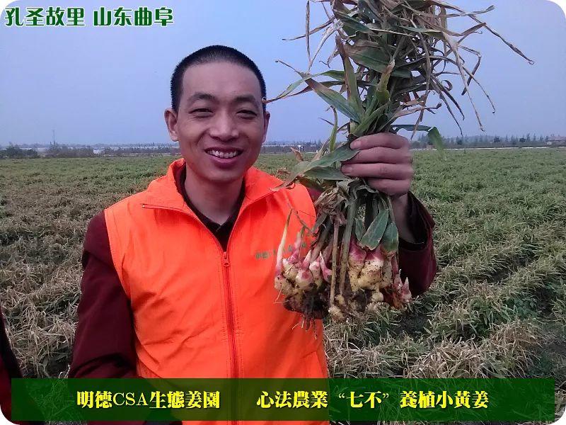 家庭特惠周期购 每月5斤 ‘七不’小黄姜生姜鲜姜原始点特供包邮 明德生态姜园心法农业恭献 家庭特惠周期购 每月5斤 ‘七不’小黄姜生姜鲜姜原始点特供包邮 明德生态姜园心法农业恭献