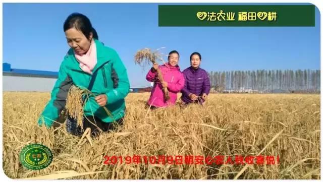 听佛号的东北富硒大米 上市了!2019七不海伦富硒大米 东北大米 硒都海伦黑土寒地香稻 七不水稻大米 心法农业 福田心耕恭献 听佛号的东北富硒大米 上市了!2019七不海伦富硒大米 东北大米 硒都海伦黑土寒地香稻 七不水稻大米 心法农业 福田心耕恭献