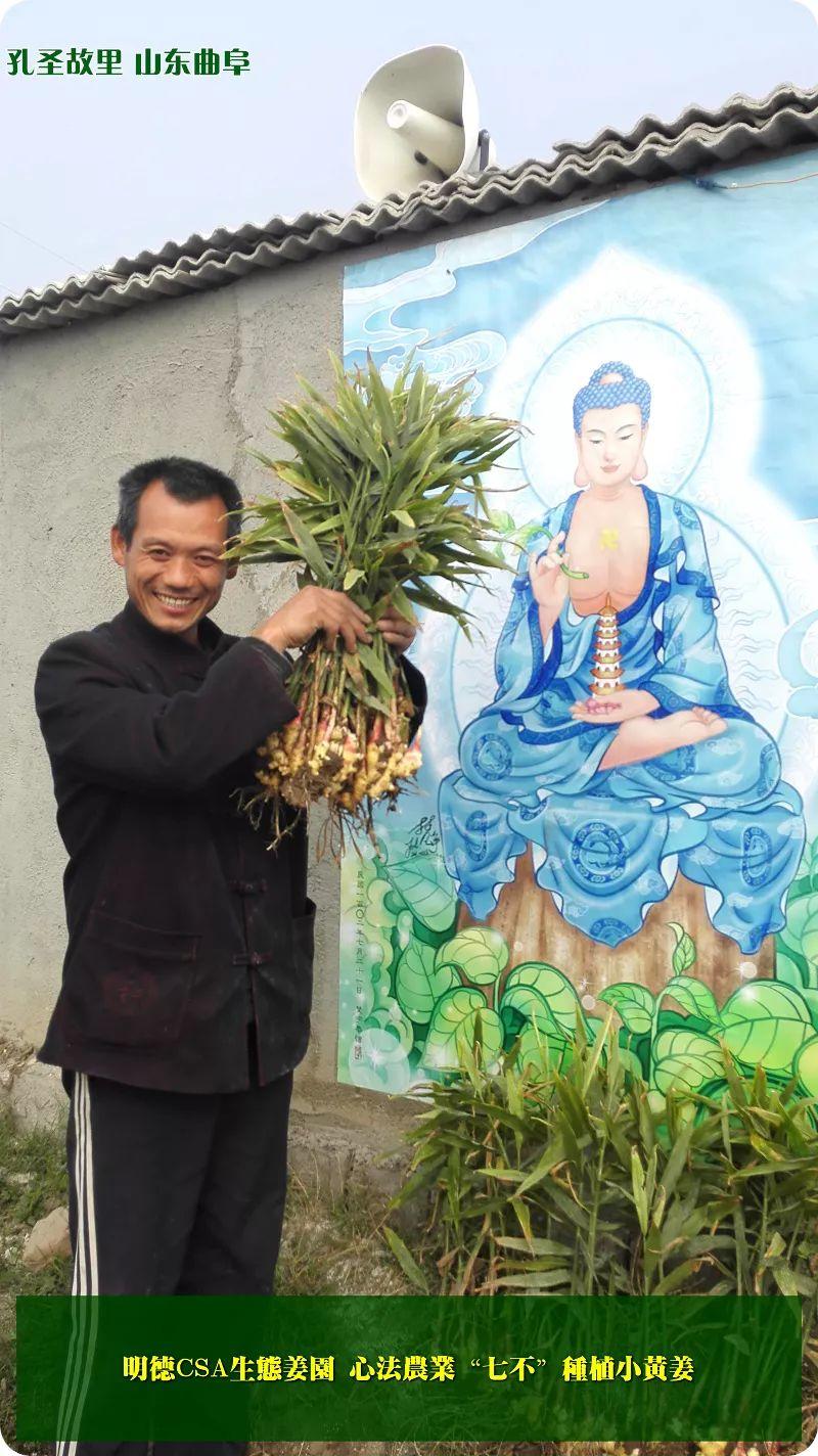 家庭特惠周期购 每月5斤 ‘七不’小黄姜生姜鲜姜原始点特供包邮 明德生态姜园心法农业恭献 家庭特惠周期购 每月5斤 ‘七不’小黄姜生姜鲜姜原始点特供包邮 明德生态姜园心法农业恭献