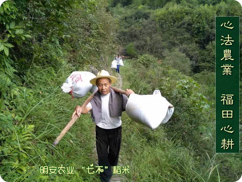 听佛号的东北富硒大米 上市了!2019七不海伦富硒大米 东北大米 硒都海伦黑土寒地香稻 七不水稻大米 心法农业 福田心耕恭献 听佛号的东北富硒大米 上市了!2019七不海伦富硒大米 东北大米 硒都海伦黑土寒地香稻 七不水稻大米 心法农业 福田心耕恭献