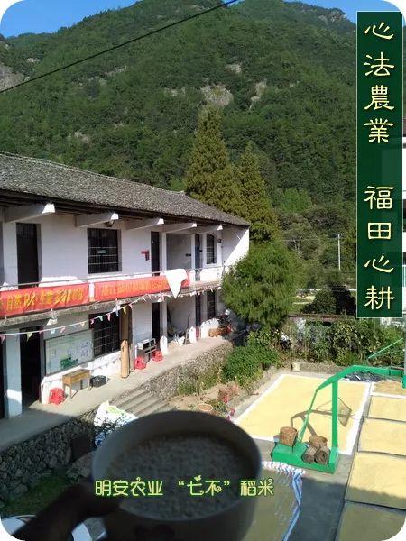 听佛号的东北富硒大米 上市了!2019七不海伦富硒大米 东北大米 硒都海伦黑土寒地香稻 七不水稻大米 心法农业 福田心耕恭献 听佛号的东北富硒大米 上市了!2019七不海伦富硒大米 东北大米 硒都海伦黑土寒地香稻 七不水稻大米 心法农业 福田心耕恭献