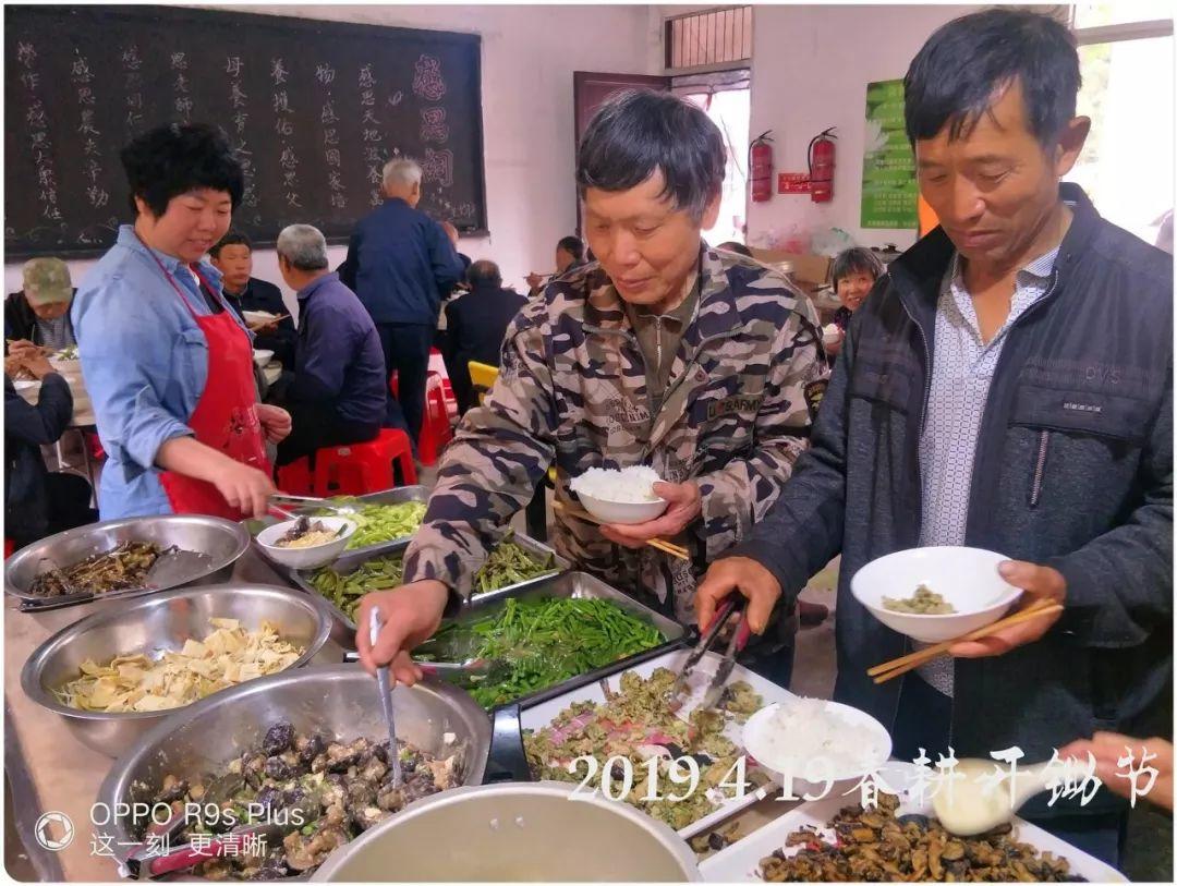 七不小黄姜 秋收感恩节2019年11月18日-24日 心法农业 福田心耕 秋收感恩节邀请函(浙江仙居 11.18-11.24) 七不小黄姜 秋收感恩节2019年11月18日-24日 心法农业 福田心耕 秋收感恩节邀请函(浙江仙居 11.18-11.24)