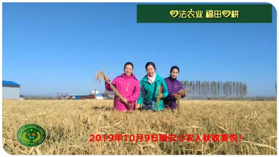 七不小黄姜 秋收感恩节2019年11月18日-24日 心法农业 福田心耕 秋收感恩节邀请函(浙江仙居 11.18-11.24) 七不小黄姜 秋收感恩节2019年11月18日-24日 心法农业 福田心耕 秋收感恩节邀请函(浙江仙居 11.18-11.24)