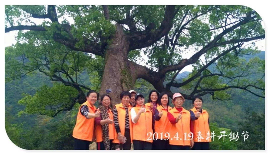 七不小黄姜 秋收感恩节2019年11月18日-24日 心法农业 福田心耕 秋收感恩节邀请函(浙江仙居 11.18-11.24) 七不小黄姜 秋收感恩节2019年11月18日-24日 心法农业 福田心耕 秋收感恩节邀请函(浙江仙居 11.18-11.24)