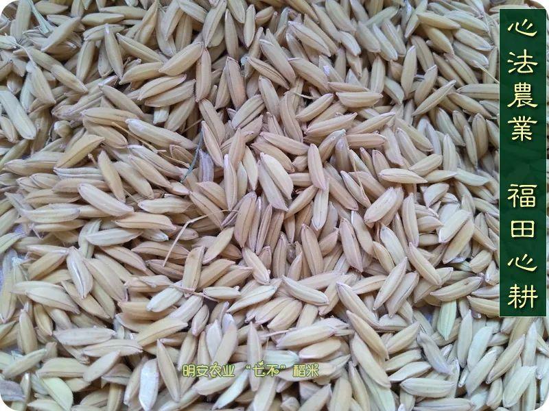 听佛号的东北富硒大米 上市了!2019七不海伦富硒大米 东北大米 硒都海伦黑土寒地香稻 七不水稻大米 心法农业 福田心耕恭献 听佛号的东北富硒大米 上市了!2019七不海伦富硒大米 东北大米 硒都海伦黑土寒地香稻 七不水稻大米 心法农业 福田心耕恭献