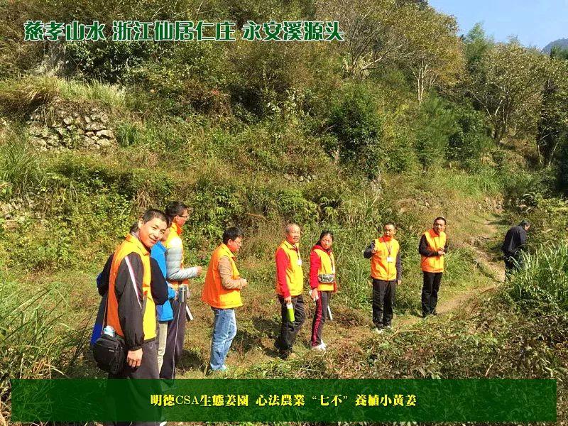 家庭特惠周期购 每月5斤 ‘七不’小黄姜生姜鲜姜原始点特供包邮 明德生态姜园心法农业恭献 家庭特惠周期购 每月5斤 ‘七不’小黄姜生姜鲜姜原始点特供包邮 明德生态姜园心法农业恭献