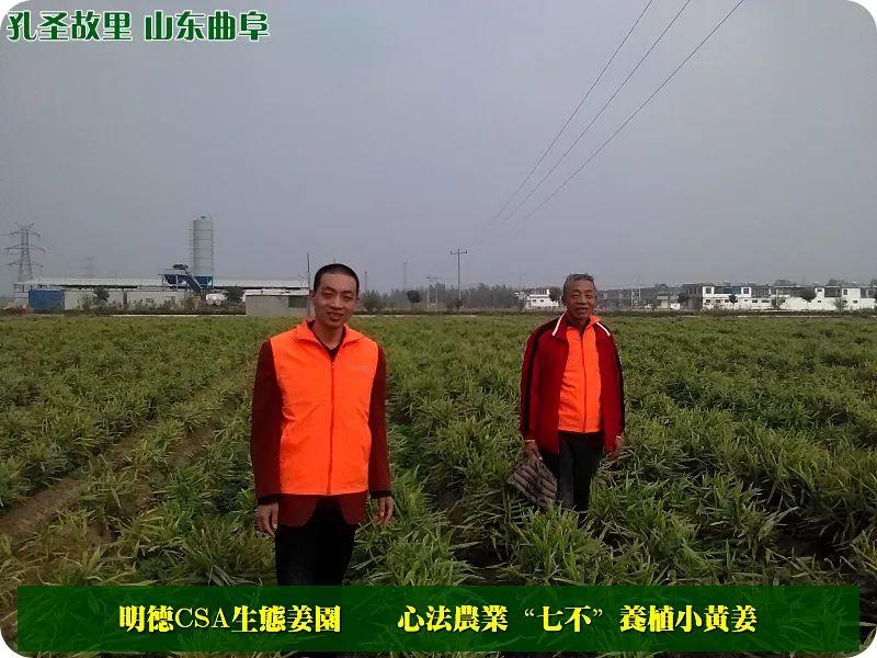 家庭特惠周期购 每月5斤 ‘七不’小黄姜生姜鲜姜原始点特供包邮 明德生态姜园心法农业恭献 家庭特惠周期购 每月5斤 ‘七不’小黄姜生姜鲜姜原始点特供包邮 明德生态姜园心法农业恭献