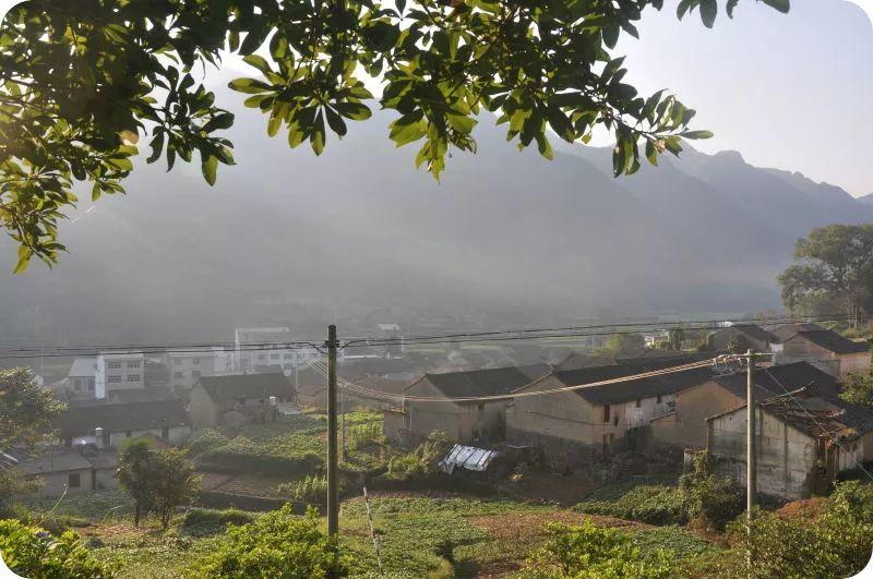 七不小黄姜 秋收感恩节2019年11月18日-24日 心法农业 福田心耕 秋收感恩节邀请函(浙江仙居 11.18-11.24) 七不小黄姜 秋收感恩节2019年11月18日-24日 心法农业 福田心耕 秋收感恩节邀请函(浙江仙居 11.18-11.24)