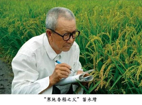 的确粮招募健康事业合伙人,无需投资 的确粮招募健康事业合伙人,无需投资