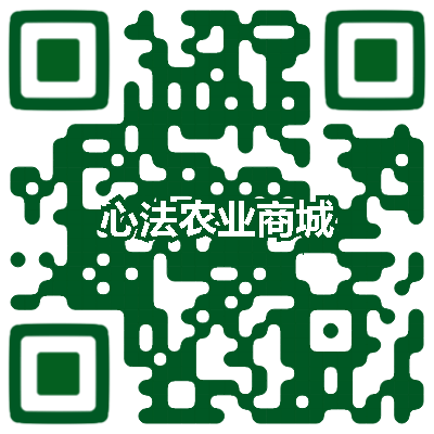 听佛号的东北富硒大米 上市了！2019七不海伦富硒大米 东北大米 硒都海伦黑土寒地香稻 七不水稻大米 心法农业 福田心耕恭献