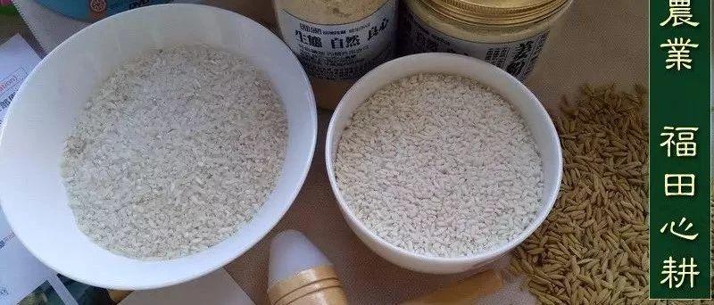 专家：小心米饭中的砒霜 改变烹调方法-七不姜 生姜养生网-明德CSA生态姜园&明安农业