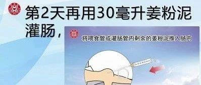 姜粉泥灌肠治好肠沾黏案例-七不姜 生姜养生网-明德CSA生态姜园&明安农业