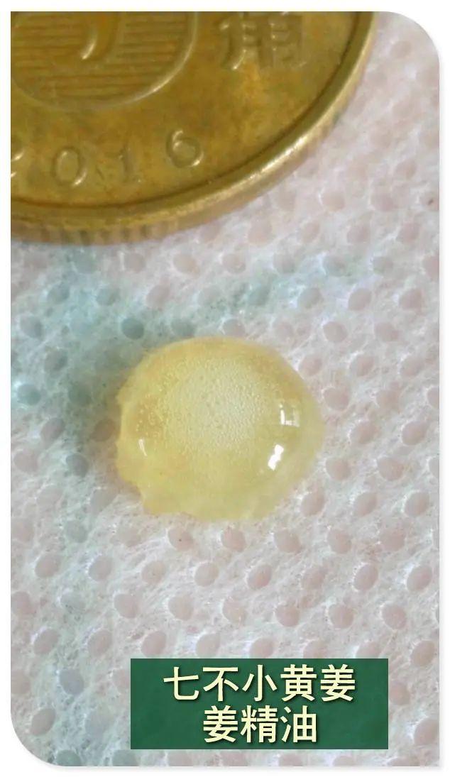 生薑养生 养颜美容- 姜油 复方姜精油 限量特价新品试用 生薑养生 养颜美容- 姜油 复方姜精油 限量特价新品试用