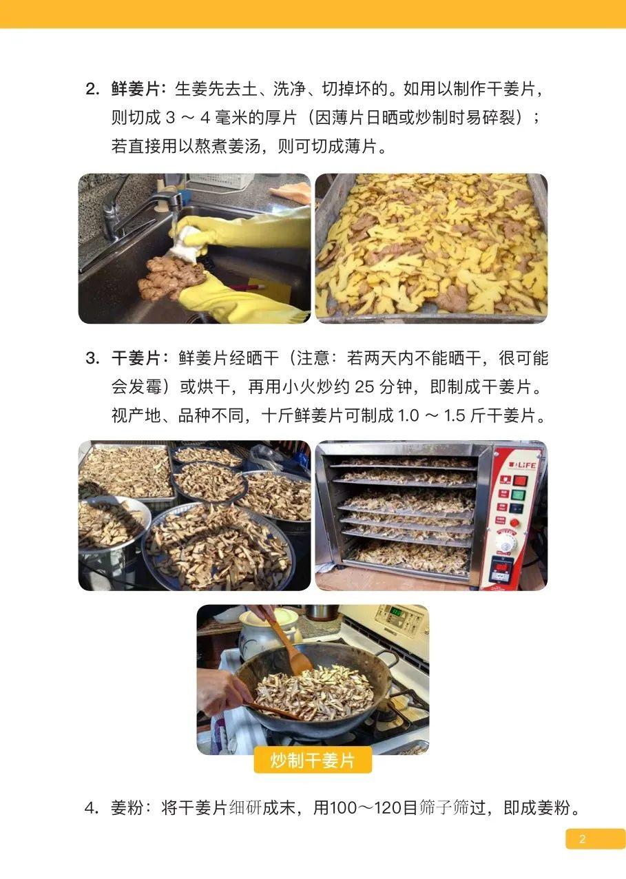 原始点姜的应用 新第16版 图片 原始点姜的应用 新第16版 图片