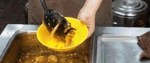 冬天的酸辣汤告诉你,带来温暖的除了温度还有舌尖的跳动-七不姜 生姜养生网-明德CSA生态姜园&明安农业