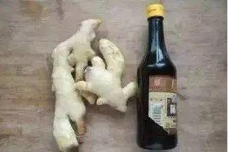 【健康】春分时节话姜疗