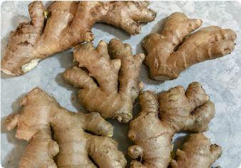 原始点小黄姜的应用 第16版 2020.2(首发) 原始点小黄姜的应用 第16版 2020.2(首发)