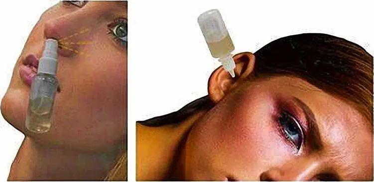 原始点小黄姜的应用 第16版 2020.2(首发) 原始点小黄姜的应用 第16版 2020.2(首发)